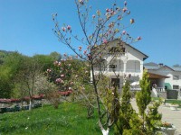 /album/galerie-foto/a1970714-817807184913499-1078983173-n-jpg/