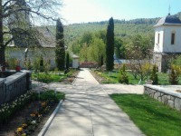 /album/galerie-foto/a10154230-817806754913542-1158527426-n-jpg/