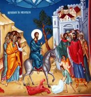 /album/galerie-foto/sta50255-jpg/