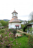 /album/galerie-foto/dsc-0994-jpg/