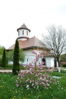 /album/galerie-foto/dsc-1033-jpg/